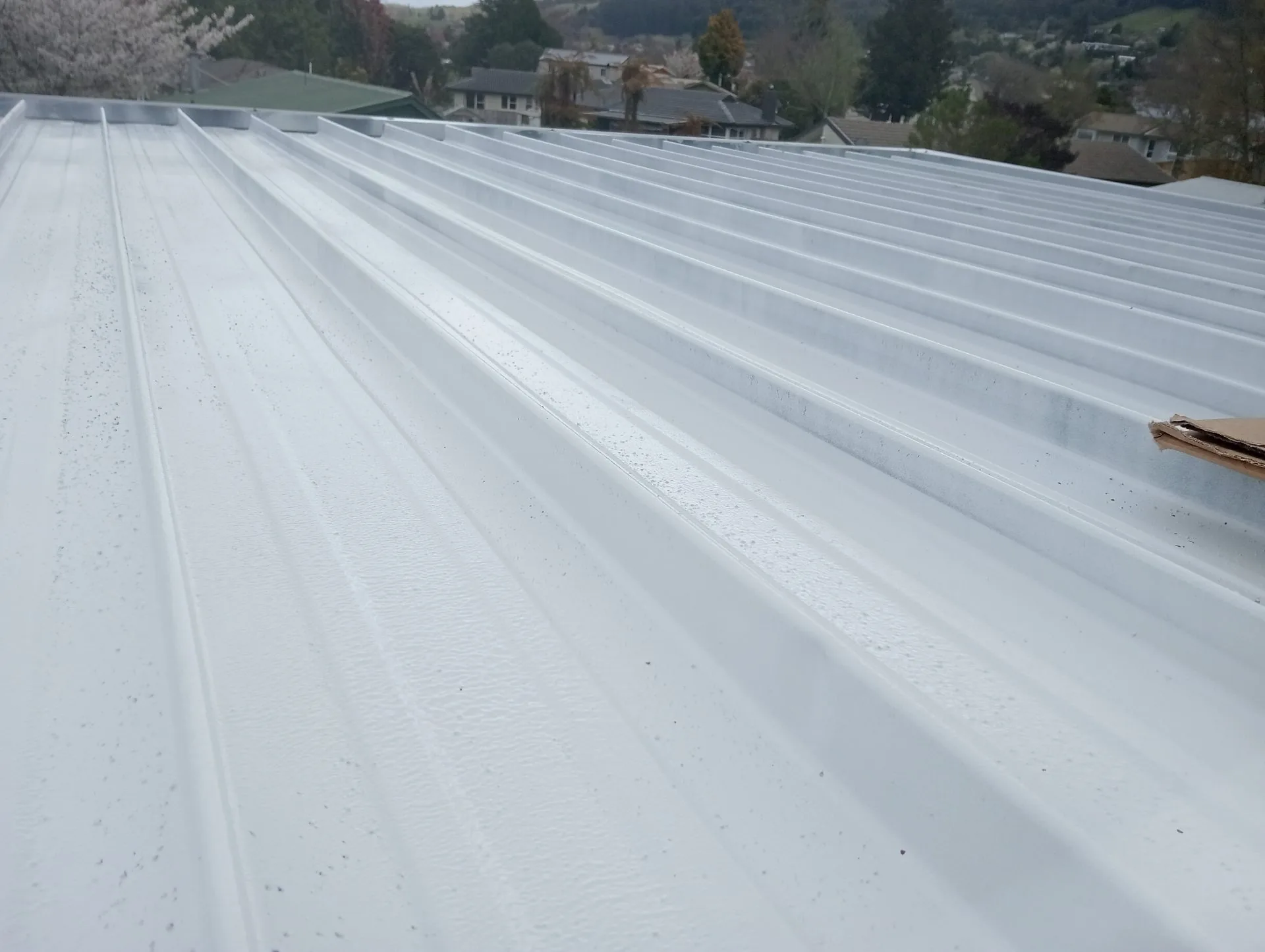 Te Puna lifestyle property painting