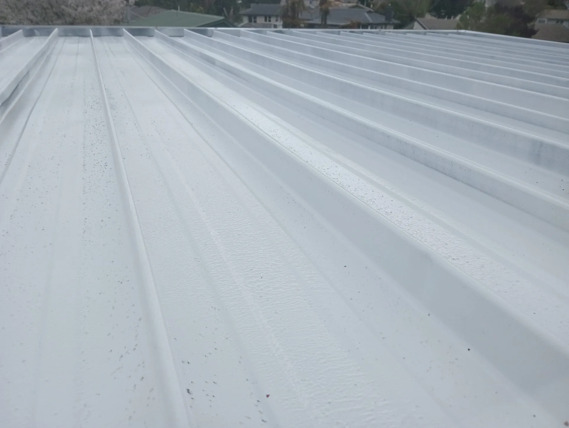 Te Puna painting team