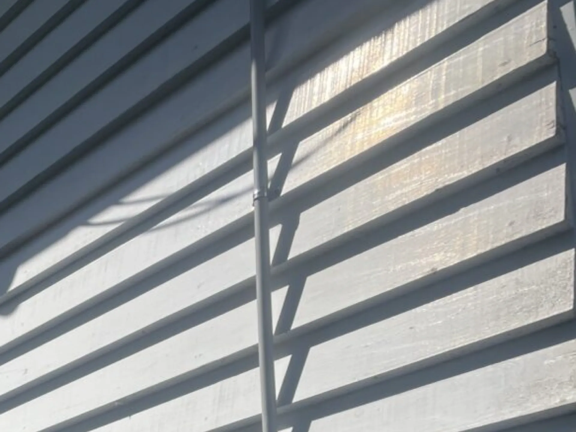 Tauranga painting company - Local professional painters transforming Bay of Plenty homes