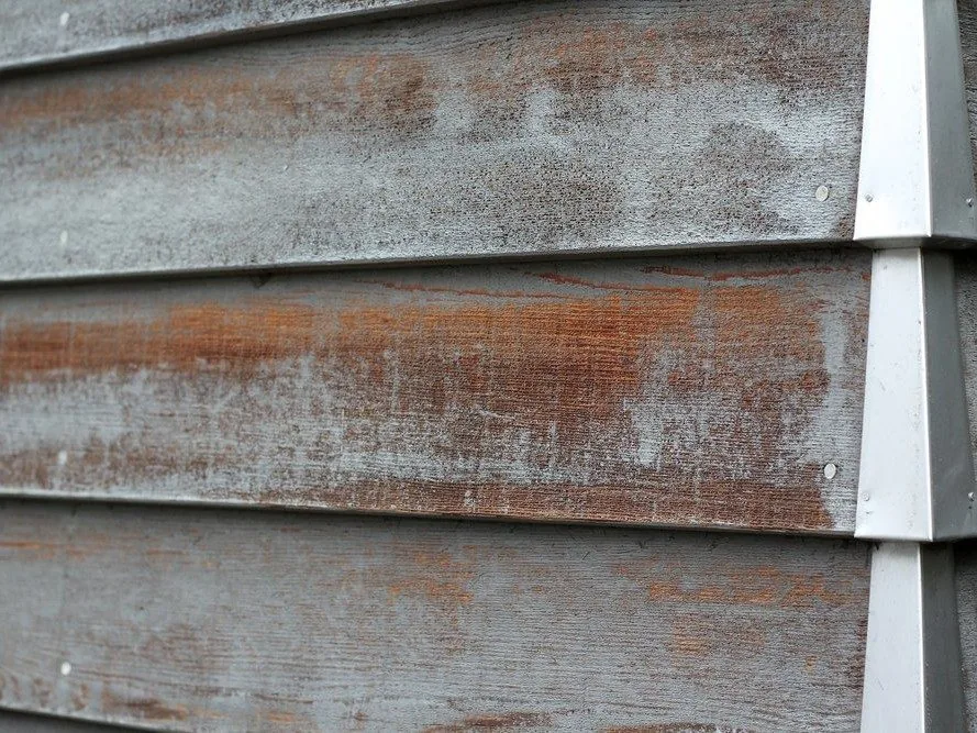 Cedar cladding restoration detail in Tauranga