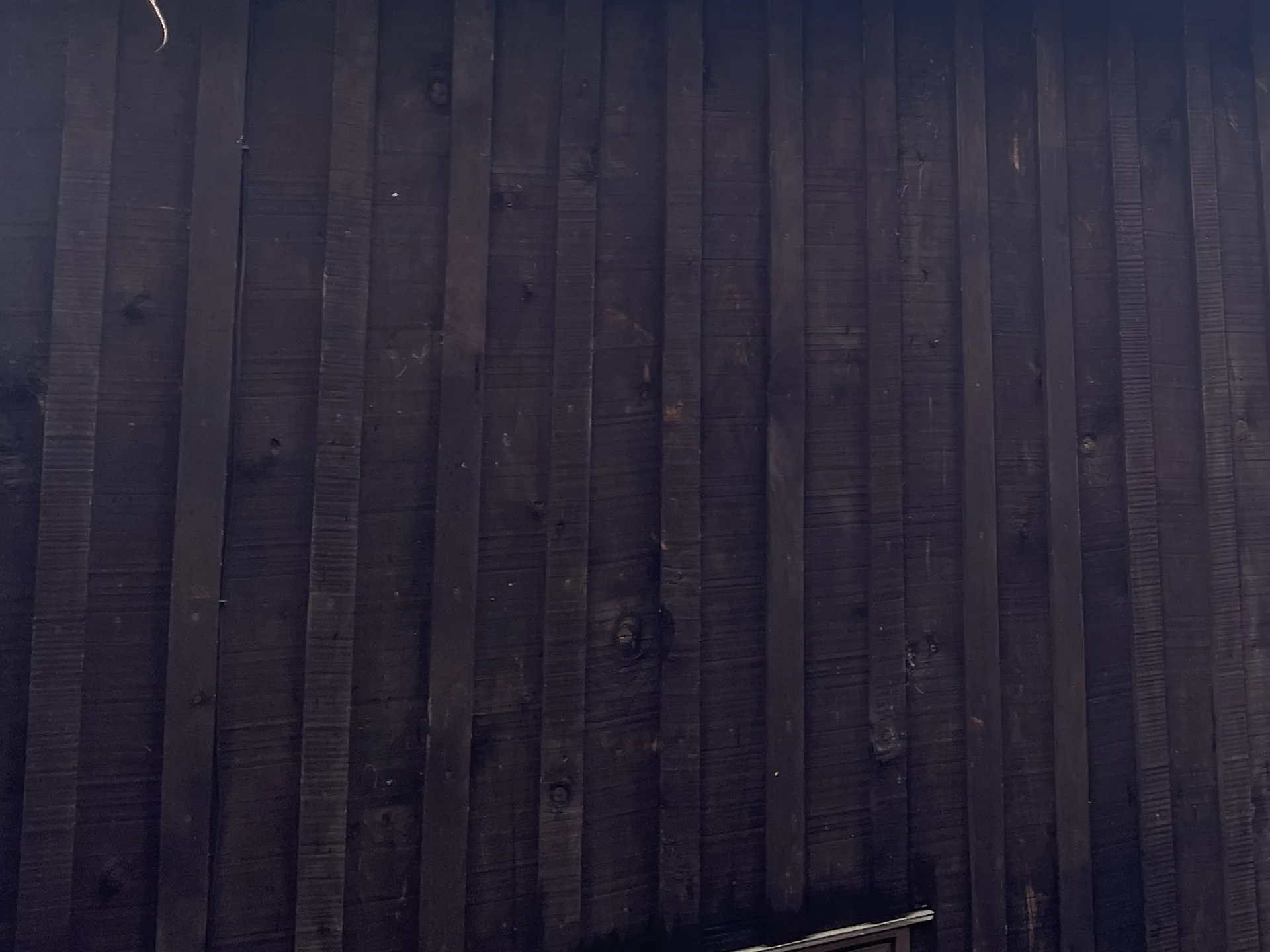 Timber deck and fence care in Tauranga